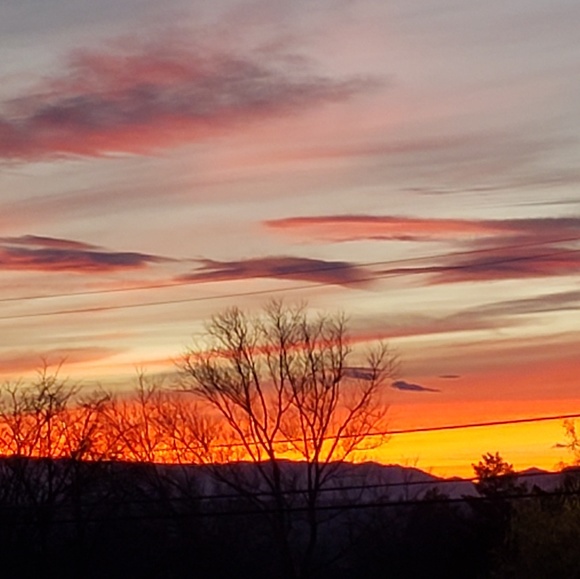 Meet your Posher, Jennifer - Picture 4 of 4